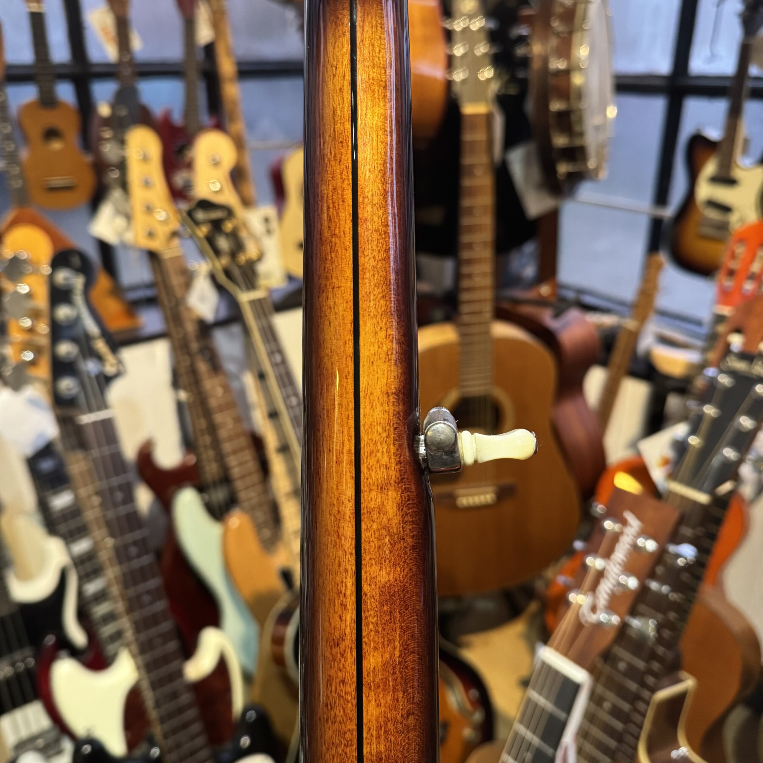 Ozark 5-String Banjo with Resonator - Image 10