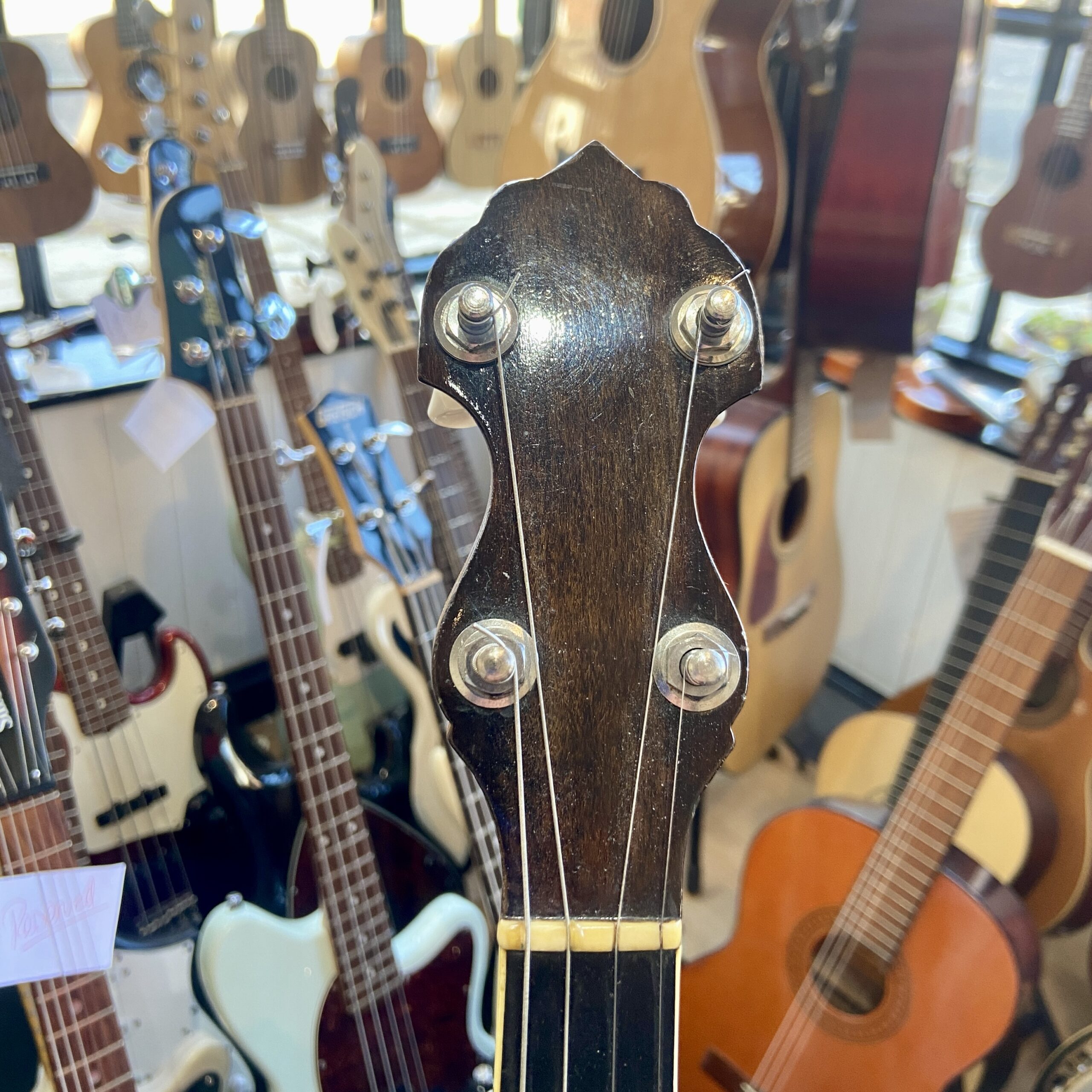 Vega LittleWonder Tenor Banjo - Image 9