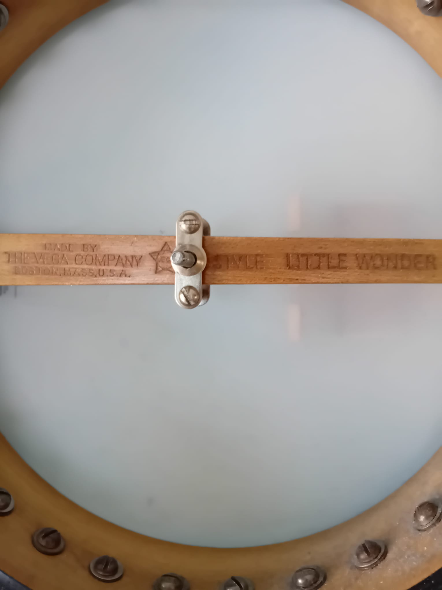Vega LittleWonder Tenor Banjo - Image 14